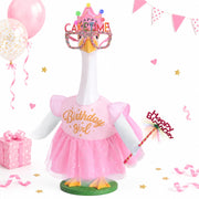 JcHrmers goose front view wearing pink birthday dress shows cheerful curb appeal