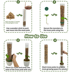 Jegu moss pole supporting a Monstera vine for healthier climbing and posture