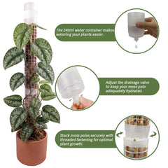 Jegu detailed mesh structure filled with moss promoting aerial root attachment