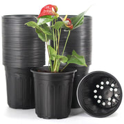 JERIA front view of 50-pack showing uniform pots and convenience