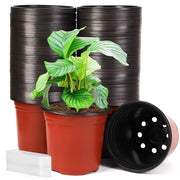 JERIA front packaging showing full 200-pack and included labels for bulk planting convenience