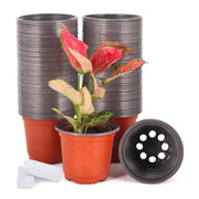 JERIA front view of 100-pack 4-inch nursery pots showing compact set and value