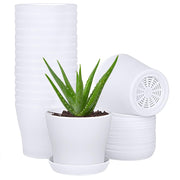 JERIA front view showing 16 white 4-inch pots on pallet for organized planting