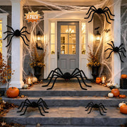 Jiribid spider front view showing large furry body and spooky impact