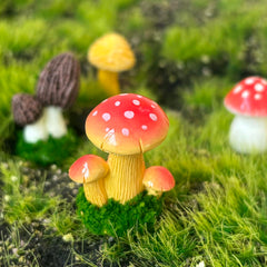 JKanruh mushrooms arranged in a succulent pot adding charm and color