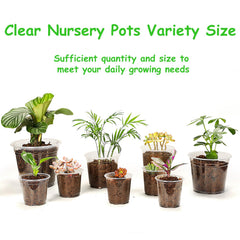JNYONG visible roots through transparent pot aiding health checks