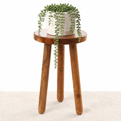 JOLLYMER front view of teak plant stand showing stable silhouette and warm tone