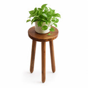 JOLLYMER teak stand front view showing balanced silhouette and compact footprint