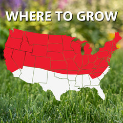 Jonathan Green established lawn after weeks showing dark-green color benefit