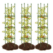 joyhalo front view assembled cages showing sturdy support and tidy plants