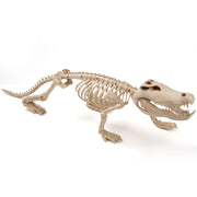 JOYIN skeleton crocodile front view showing full pose and spooky impact