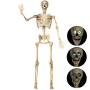 JOYIN front view of full skeleton prop showing height and realistic bones for dramatic decor
