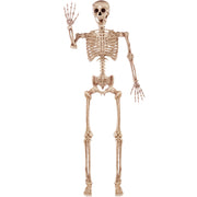 JOYIN full front view showing life-size skeleton for striking centerpiece