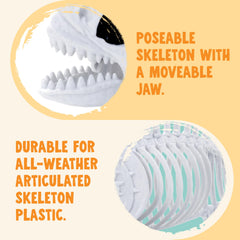 JOYIN poseable jaw detail demonstrating movable expression benefit