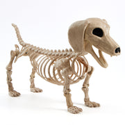 JOYIN wiener dog skeleton front view showing full dachshund shape and spooky appeal