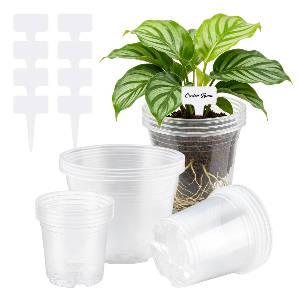 JRAVPXEQ front packaging showing all 16 clear pots and labels for easy inventory