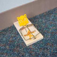JT Eaton trap set in garage along baseboard catching rodents, targeted placement benefit