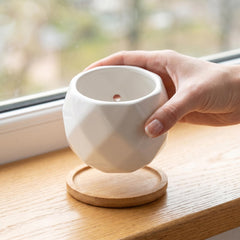 Jucoan bamboo tray detail showing warm wood contrast and water-catching function