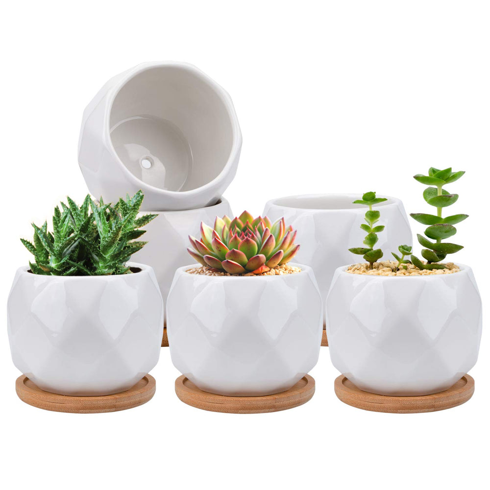 Jucoan six-pack front view showing clean white planters and trays for stylish display