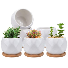 Jucoan six-pack front view showing clean white planters and trays for stylish display
