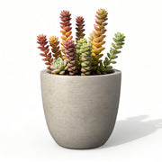 Kante front view planter showing concrete look and modern styling benefit