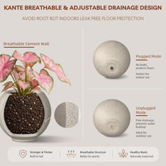 Kante painted interior detail visible and offering clean contrast