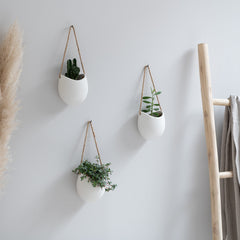 Kazai Ellie filled with succulents demonstrating compact planting and tidy display