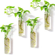 Kingbuy front view wall mounted propagation station showing four tubes and space saving
