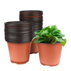 KINGLAKE front view of 50-piece pot pack showing quantity and shape for efficient planting
