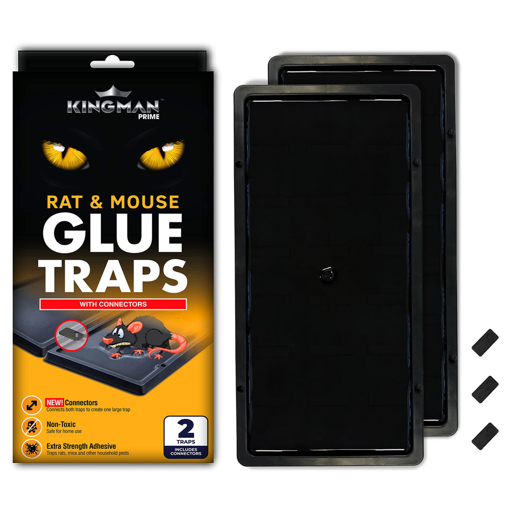 KINGMAN PRIME front packaging showing 24 heavy-duty traps for quick use