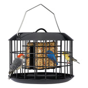 Kingsyard feeder front view showing all-metal cage and hanging hook for durable feeding