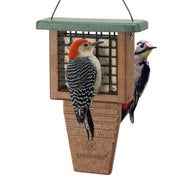 Kingsyard feeder front view showing whole unit and hanging loop, attracts birds