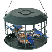 Kingsyard feeder front view showing bowl and hanging hook, encourages bird visits