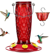 Kingsyard front view of glass feeder showing gradient finish and shape benefit attracting birds