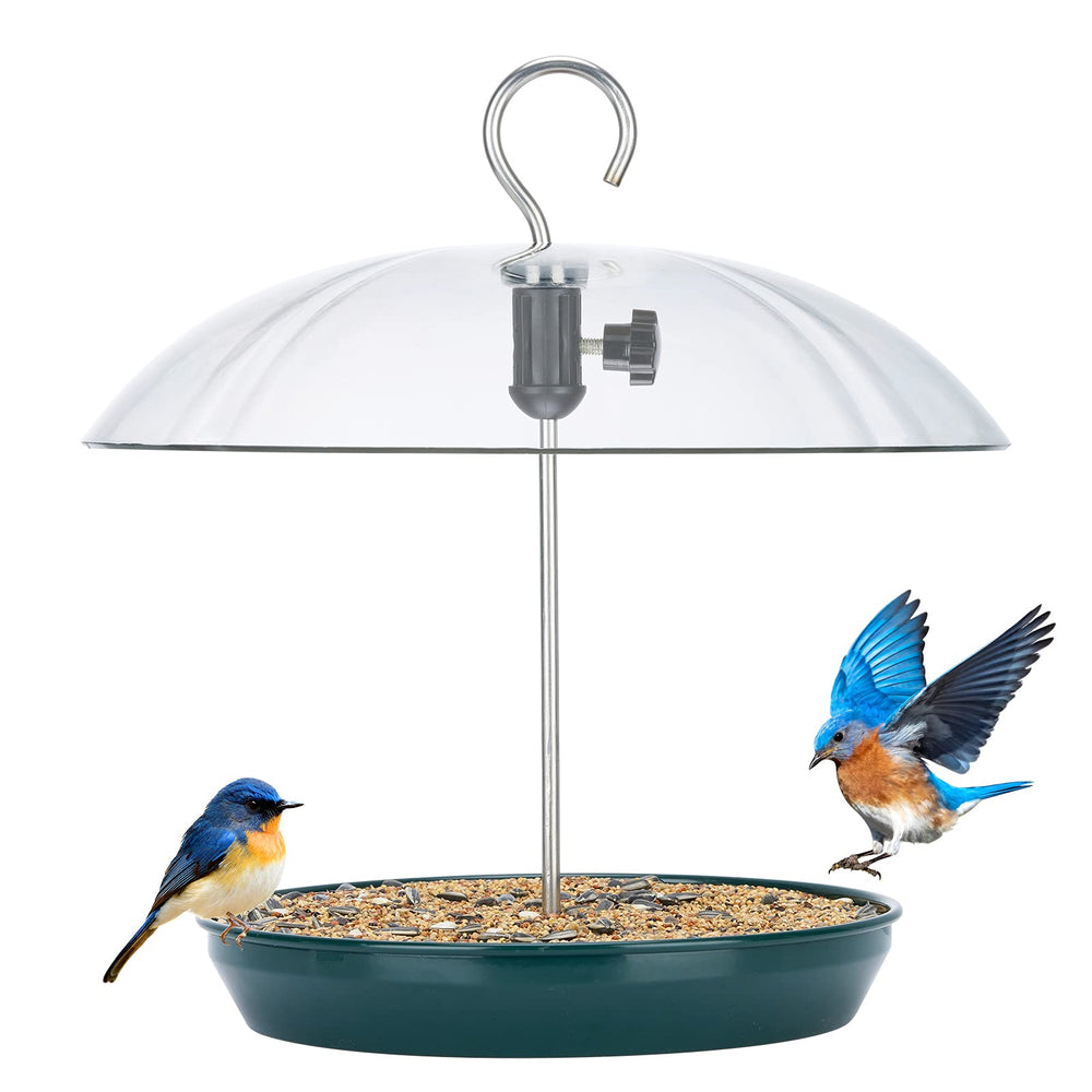 Kingsyard front view of hanging feeder showing tray and dome attracting birds