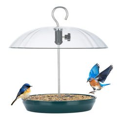 Kingsyard front view of hanging feeder showing tray and dome attracting birds