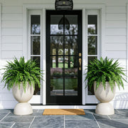 KOL beige urn front view showing elegant silhouette and instant curb appeal