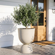 KOL beige urn planter front view showing elegant silhouette and instant curb appeal