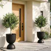 KOL front view of black urn planter showing elegant silhouette and curb appeal