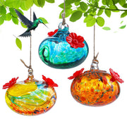KRISININE front view glass feeder showing shape and color, attracts birds