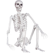 Kukooka full-body skeleton front view showing lifelike proportions and realistic presence