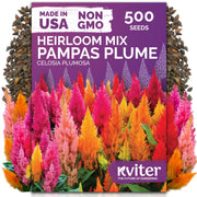 KVITER packaging showing mixed Celosia plumosa seeds and clear labeling benefits planting