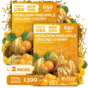 KVITER seed packet front showing Pineapple Ground Cherry variety and benefits