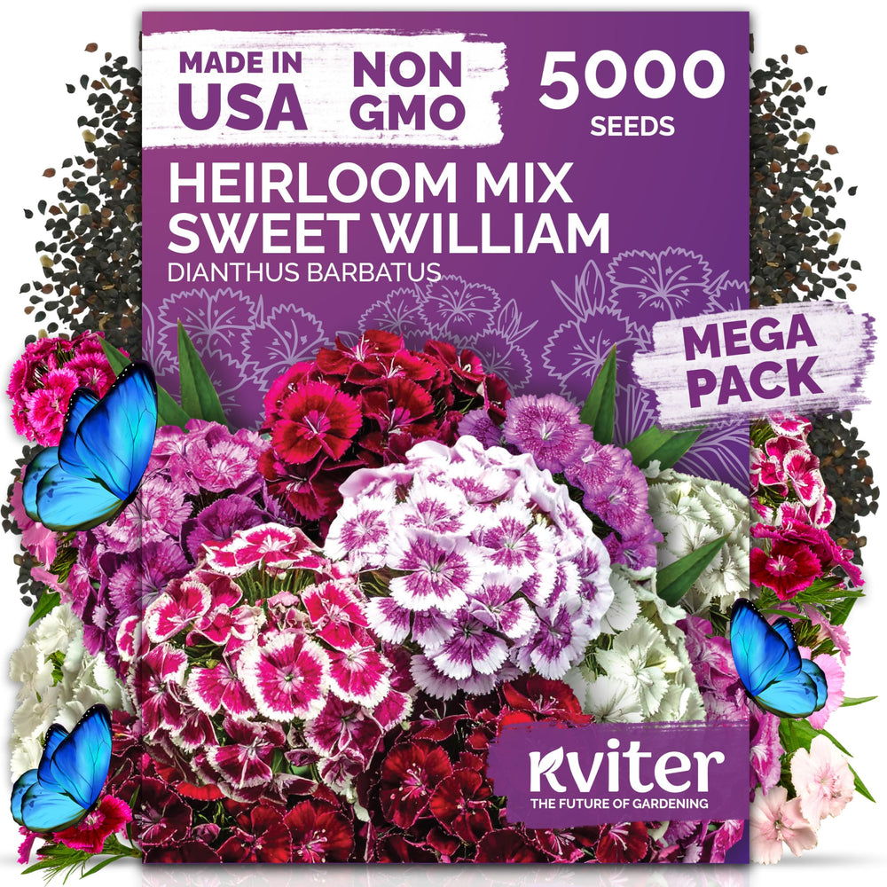 KVITER seed packet front showing variety and bulk quantity, ideal for large gardens