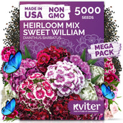 KVITER seed packet front showing variety and bulk quantity, ideal for large gardens