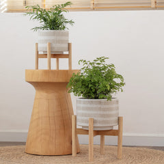 LA JOLIE MUSE planter in use on shelf with spider plant demonstrating stylish display