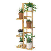 Laiensia front view full stand showing tier arrangement and space-saving benefits