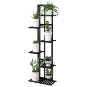 Laiensia front view plant stand showing compact multi-tier organization