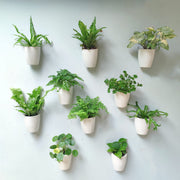 LáLáGreen front-facing 10-pack showing neat vertical arrangement and space-saving benefit