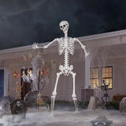 LaLamona front view giant skeleton showing full height and presence